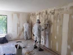 Mold Remediation for Vacation Homes in Valley Center, CA